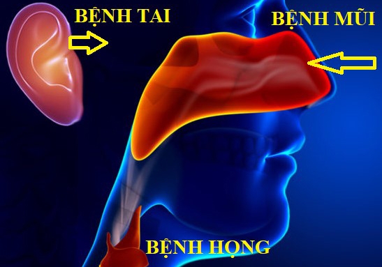 Thời tiết trở lạnh, làm gì để phòng bệnh Tai- Mũi- Họng?